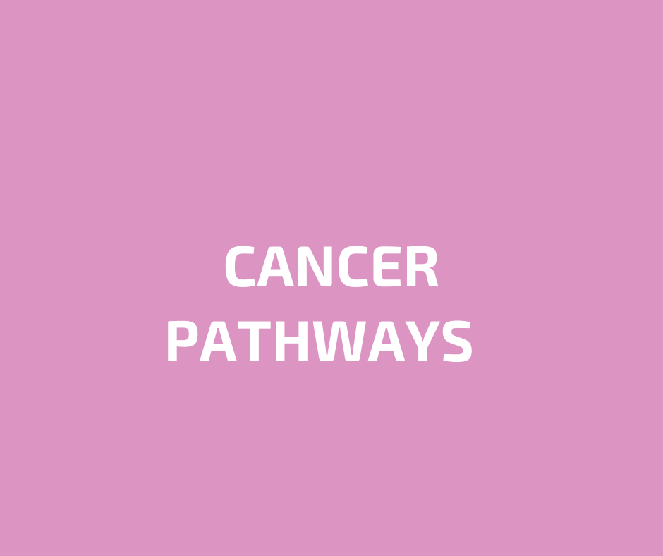 Cancer Pathways Theatre
